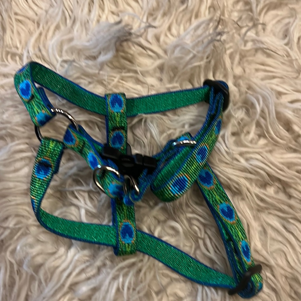 Lupine Peacock print harness
